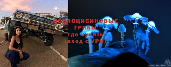 дживик Абинск