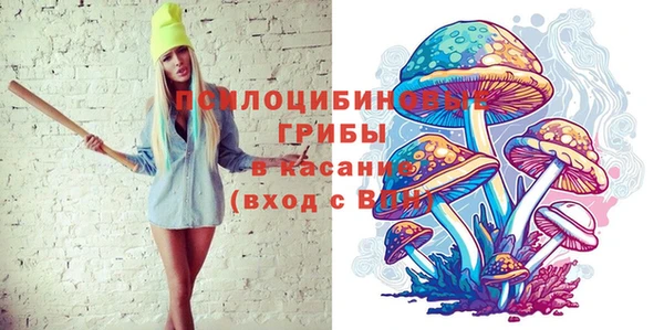 дживик Абинск