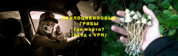 ГАЛЛЮЦИНОГЕННЫЕ ГРИБЫ Абдулино